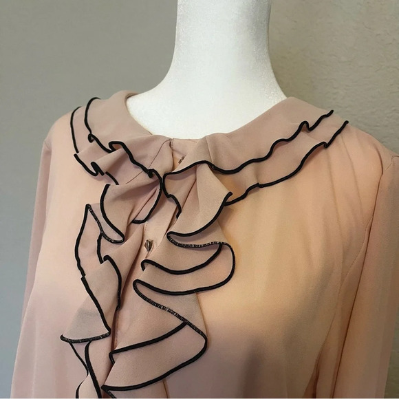 Zara  jewel button cascade ruffle blouse in pale pink and black size medium - Picture 7 of 15
